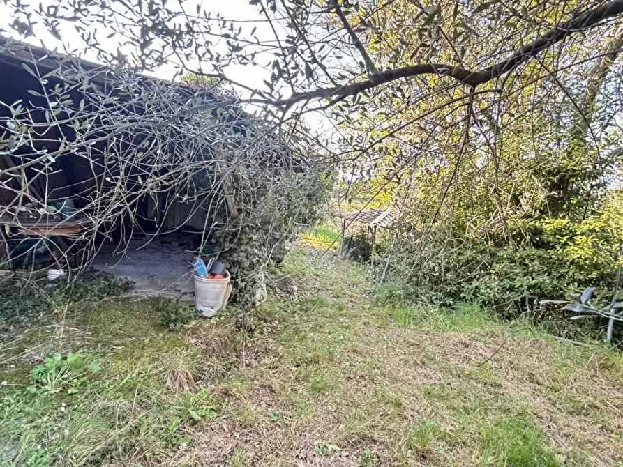 Immagine 23 di Casa semindipendente in vendita  a Montecarlo
