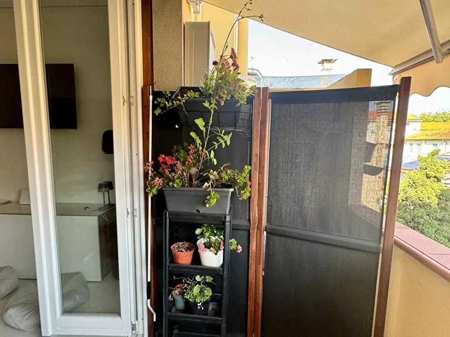 Immagine 17 di Appartamento in vendita  a Viareggio