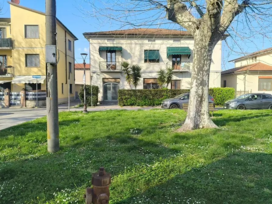 Immagine 11 di Casa bifamiliare in vendita  a Vecchiano