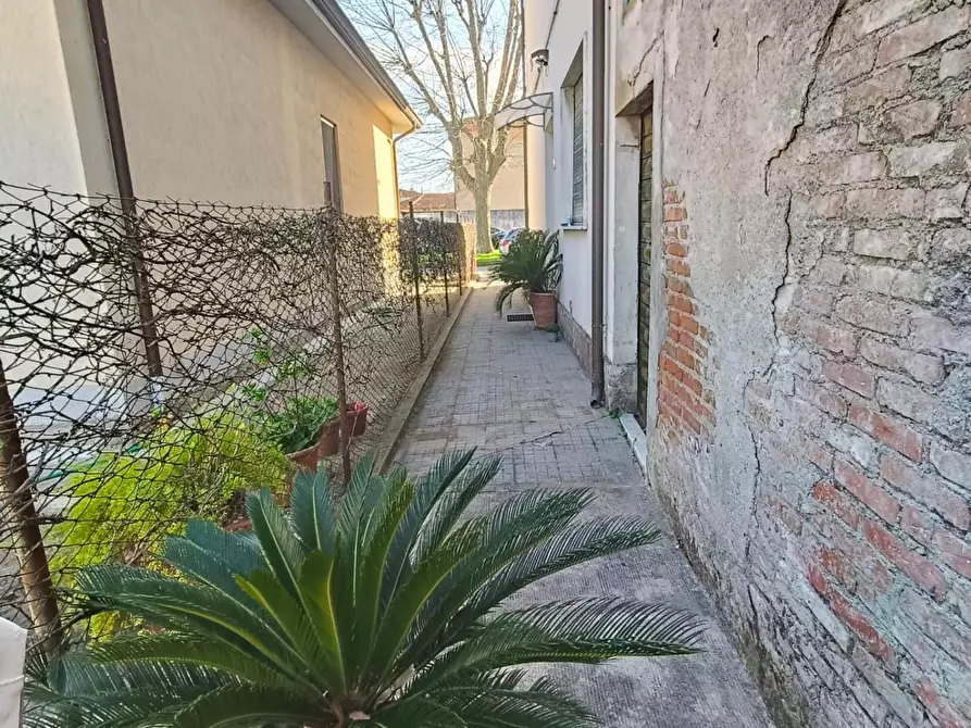 Immagine 13 di Casa bifamiliare in vendita  a Vecchiano