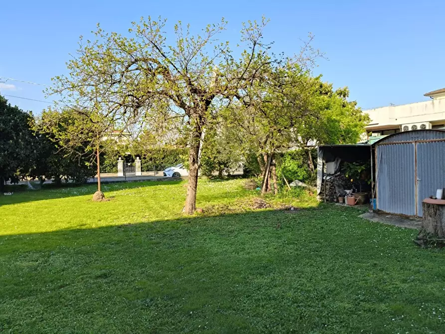 Immagine 2 di Casa bifamiliare in vendita  a Vecchiano