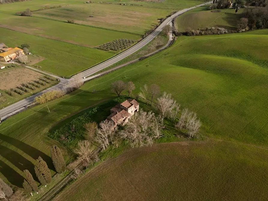 Immagine 49 di Casa colonica in vendita  a Lajatico