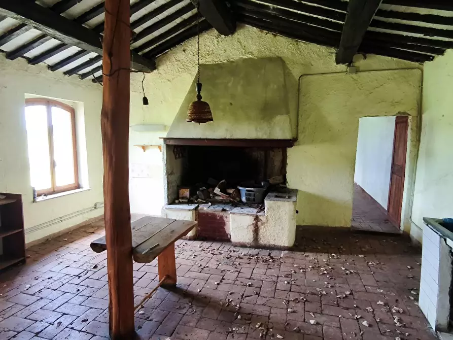 Immagine 32 di Casa colonica in vendita  a Lajatico