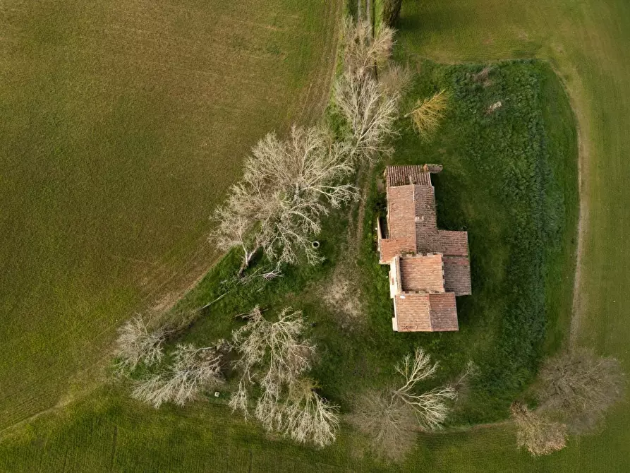 Immagine 17 di Casa colonica in vendita  a Lajatico