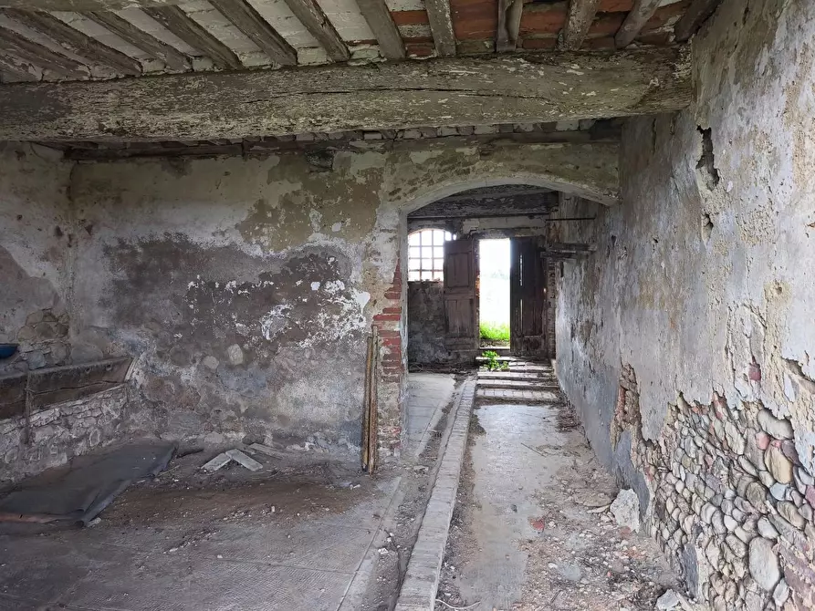 Immagine 41 di Casa colonica in vendita  a Lajatico