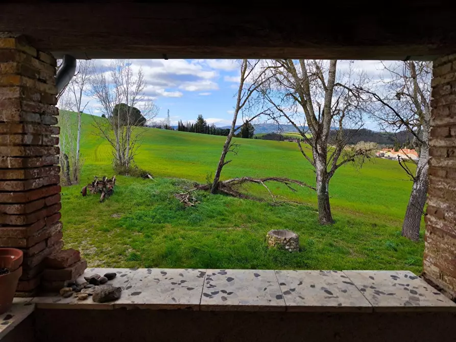 Immagine 8 di Casa colonica in vendita  a Lajatico