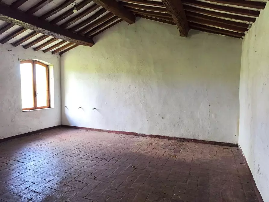 Immagine 5 di Casa colonica in vendita  a Lajatico