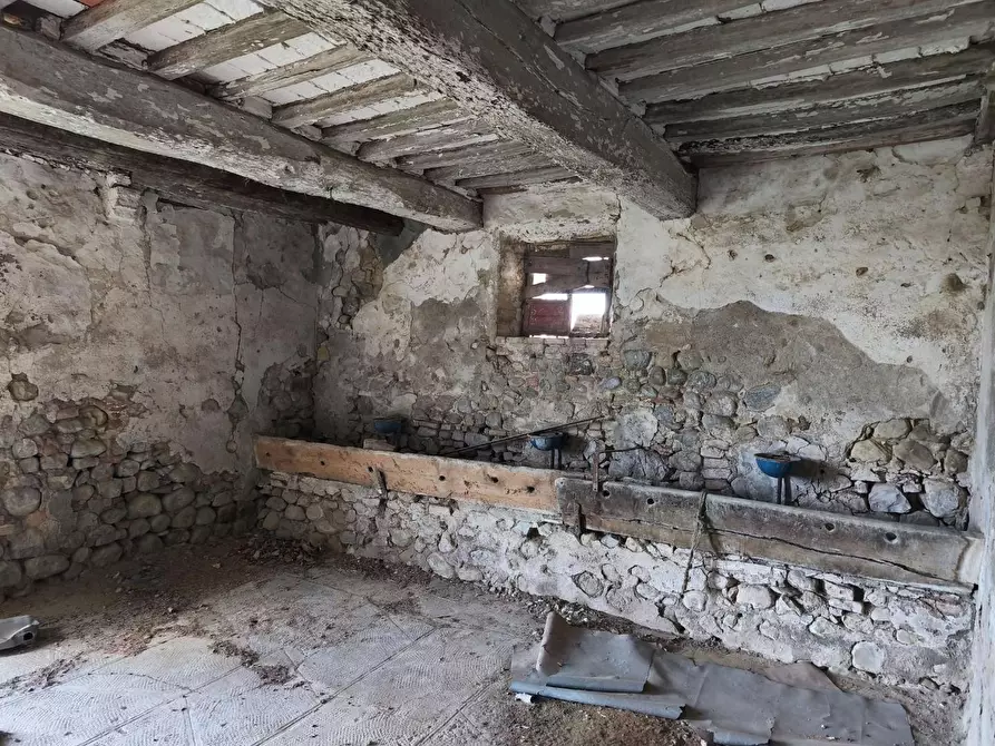 Immagine 40 di Casa colonica in vendita  a Lajatico