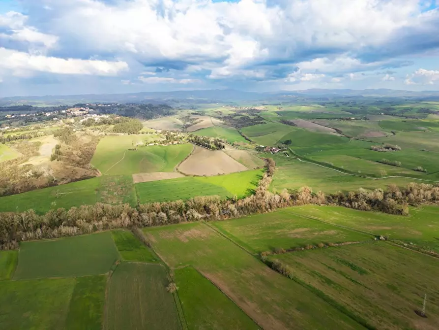 Immagine 21 di Casa colonica in vendita  a Lajatico
