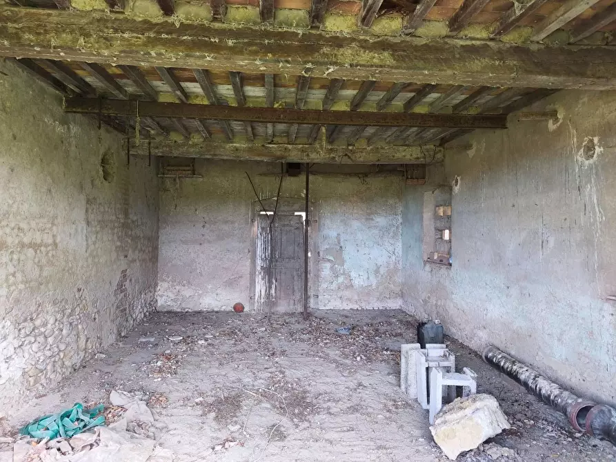 Immagine 37 di Casa colonica in vendita  a Lajatico