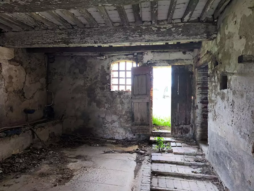 Immagine 42 di Casa colonica in vendita  a Lajatico