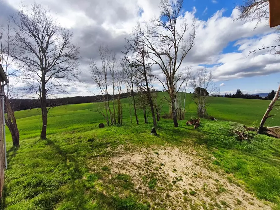 Immagine 43 di Casa colonica in vendita  a Lajatico