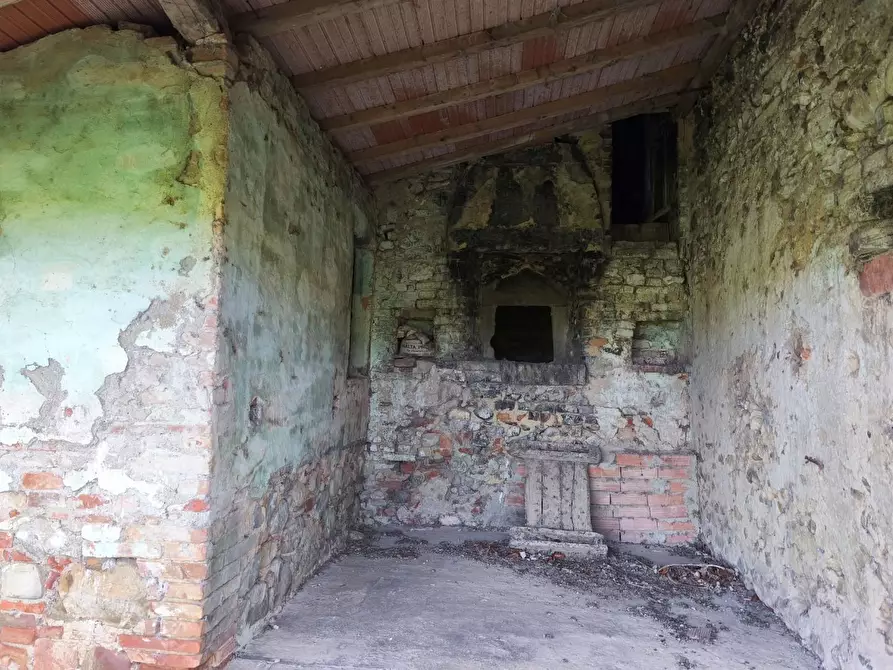 Immagine 31 di Casa colonica in vendita  a Lajatico