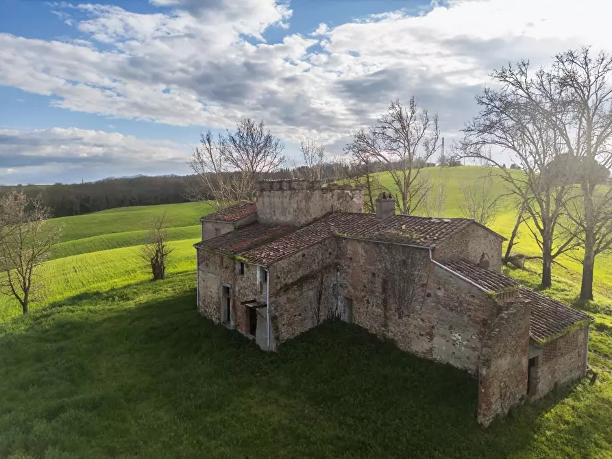 Immagine 19 di Casa colonica in vendita  a Lajatico