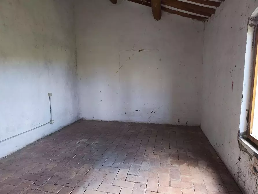 Immagine 28 di Casa colonica in vendita  a Lajatico