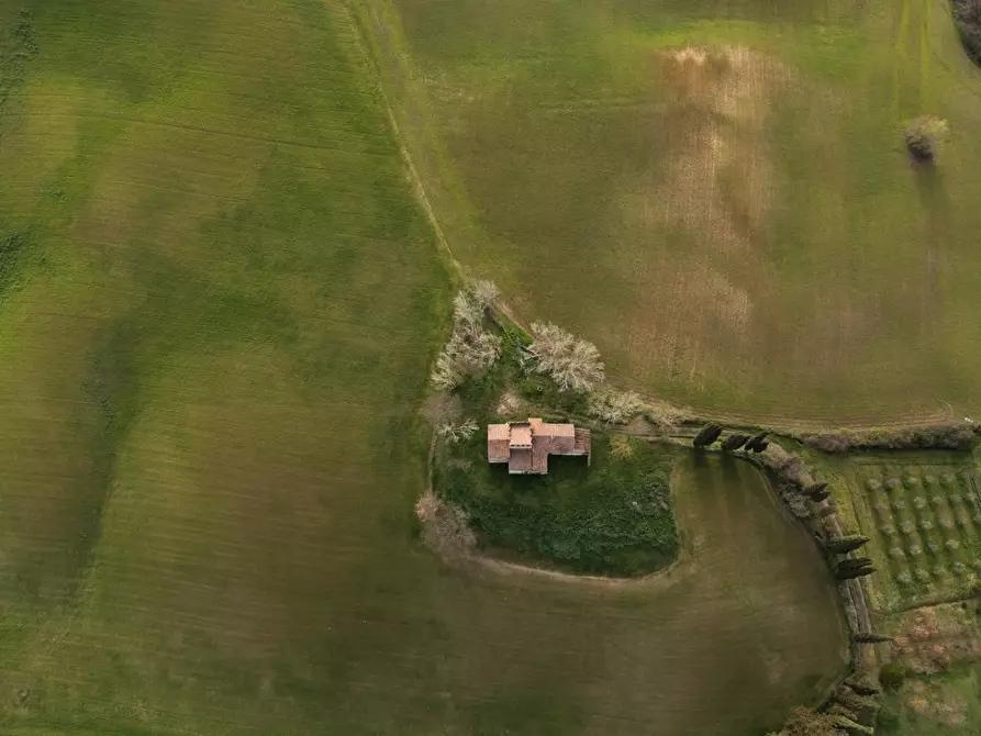 Immagine 4 di Casa colonica in vendita  a Lajatico