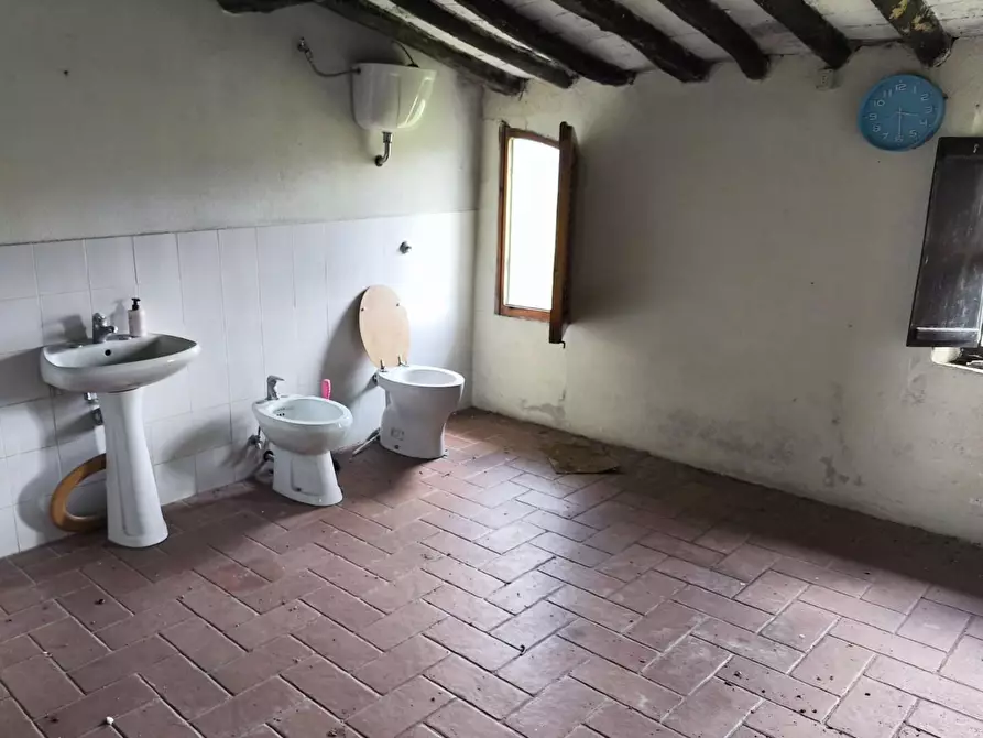 Immagine 46 di Casa colonica in vendita  a Lajatico