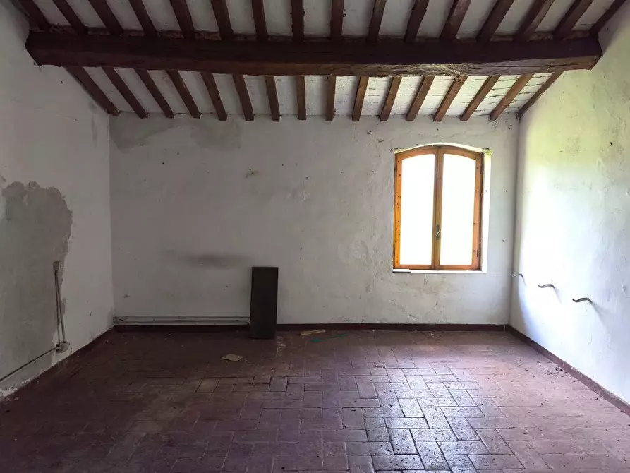 Immagine 14 di Casa colonica in vendita  a Lajatico
