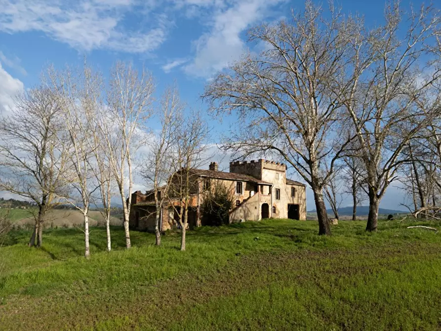 Immagine 9 di Casa colonica in vendita  a Lajatico