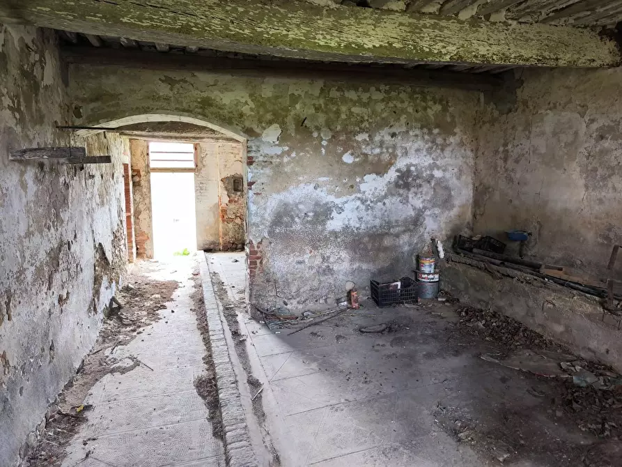 Immagine 39 di Casa colonica in vendita  a Lajatico