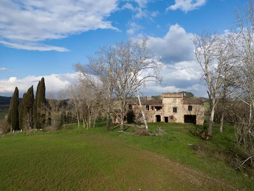 Immagine 13 di Casa colonica in vendita  a Lajatico