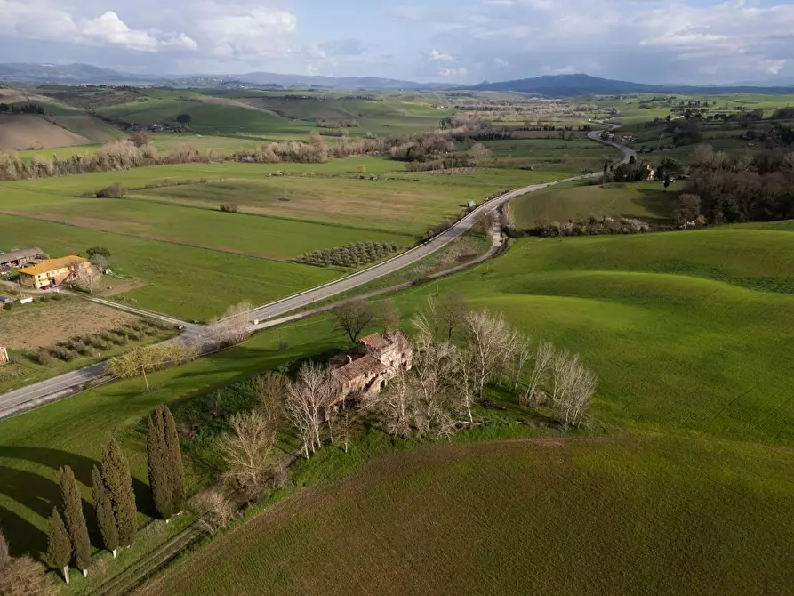 Immagine 47 di Casa colonica in vendita  a Lajatico