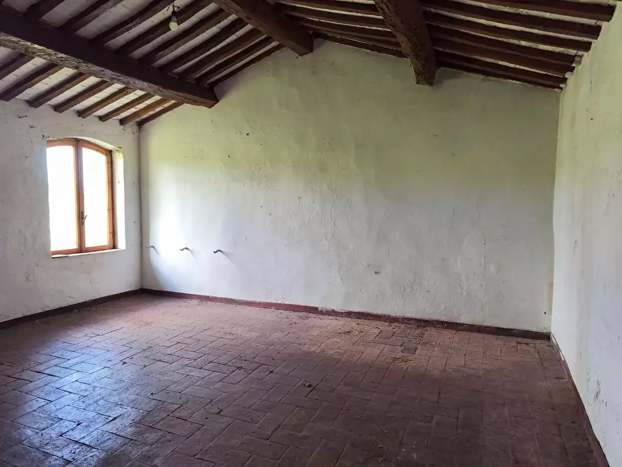 Immagine 16 di Casa colonica in vendita  a Lajatico