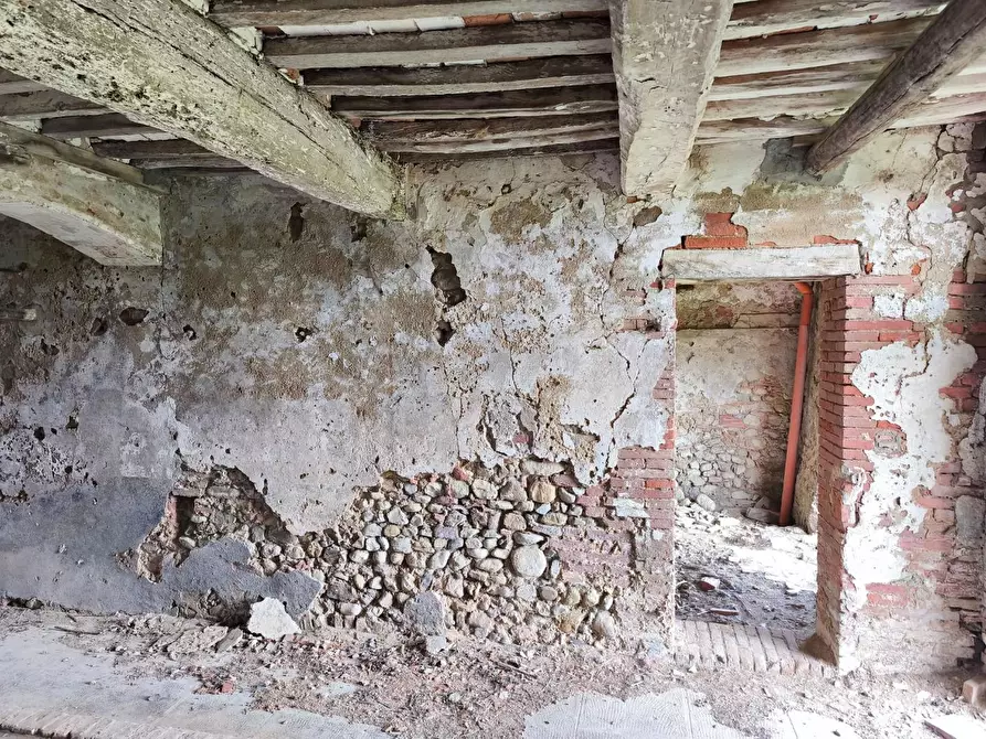 Immagine 29 di Casa colonica in vendita  a Lajatico