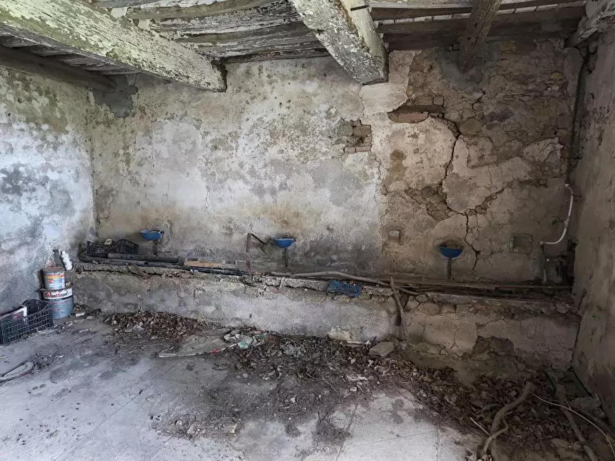 Immagine 38 di Casa colonica in vendita  a Lajatico