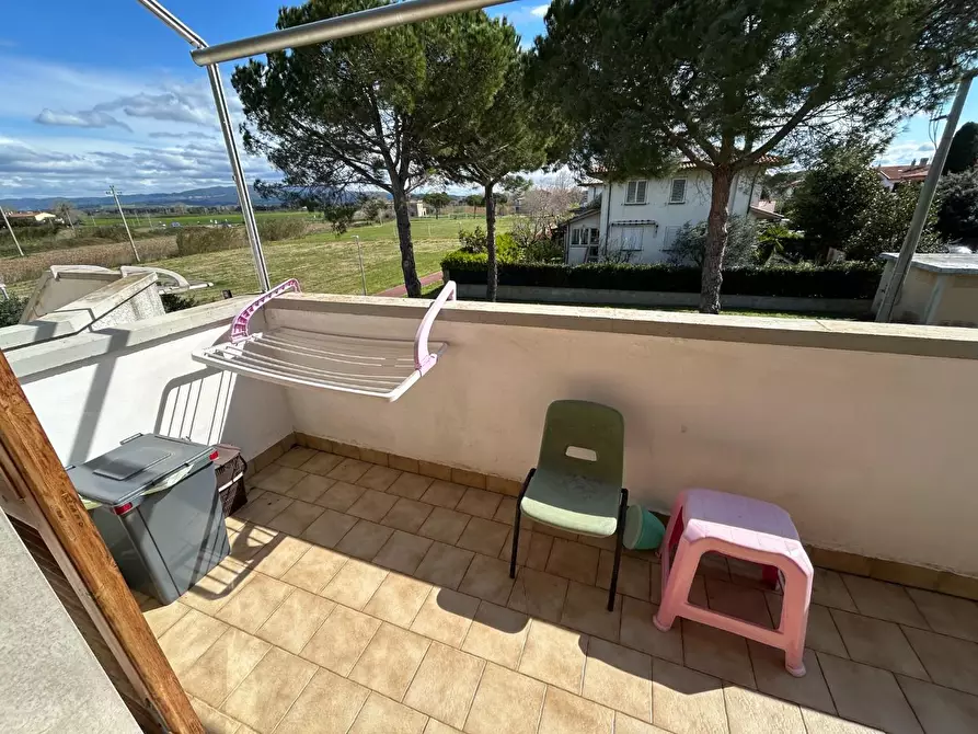 Immagine 13 di Appartamento in vendita  a Rosignano Marittimo