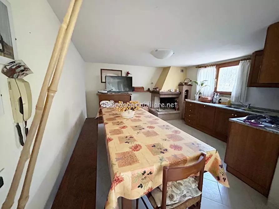 Immagine 29 di Appartamento in vendita  a Rosignano Marittimo