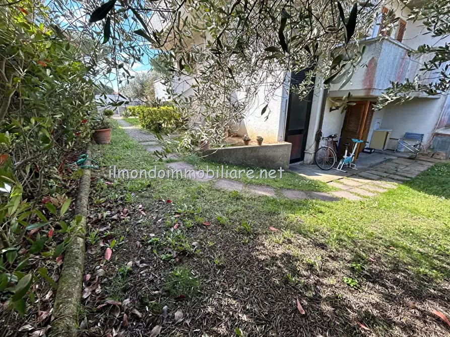 Immagine 2 di Appartamento in vendita  a Rosignano Marittimo