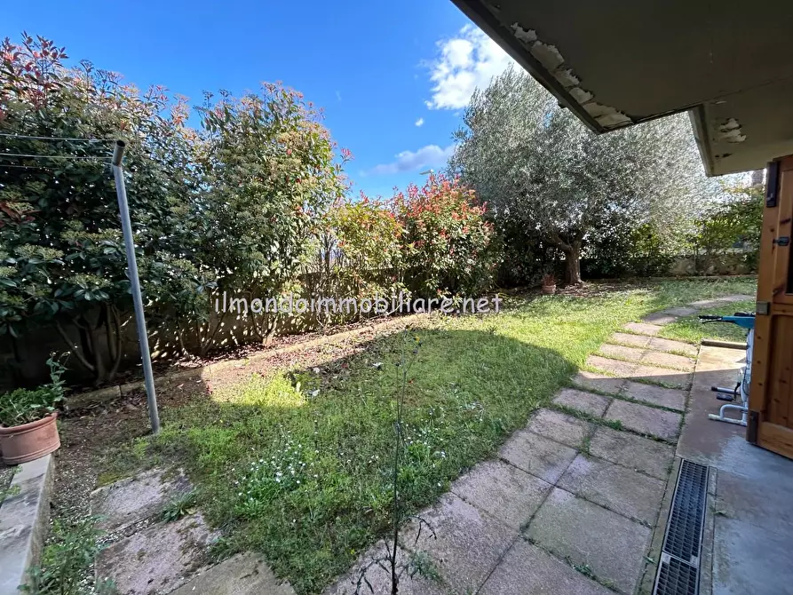 Immagine 36 di Appartamento in vendita  a Rosignano Marittimo