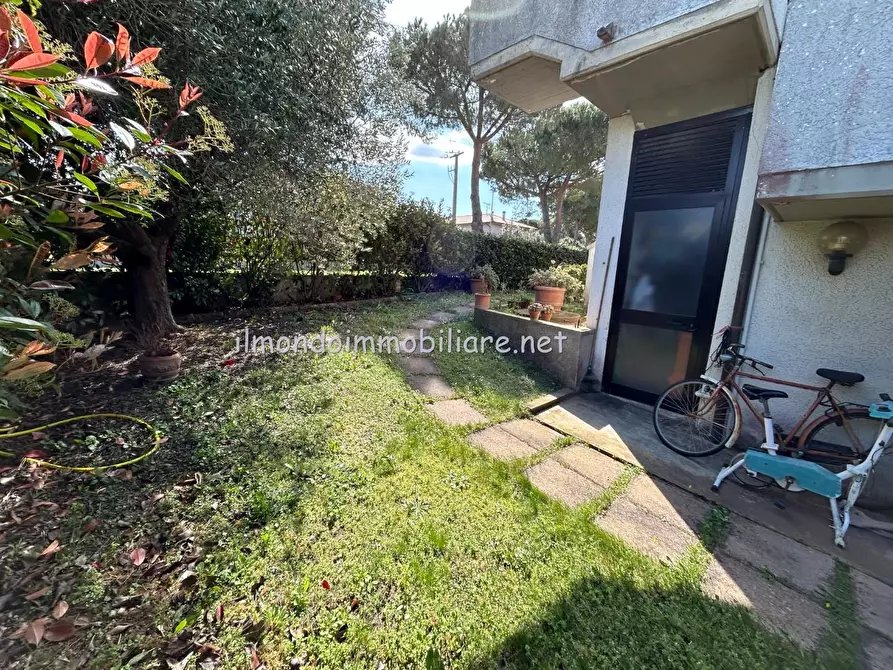 Immagine 3 di Appartamento in vendita  a Rosignano Marittimo