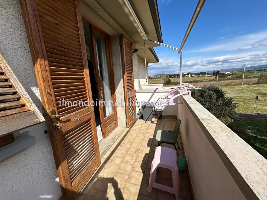 Immagine 14 di Appartamento in vendita  a Rosignano Marittimo