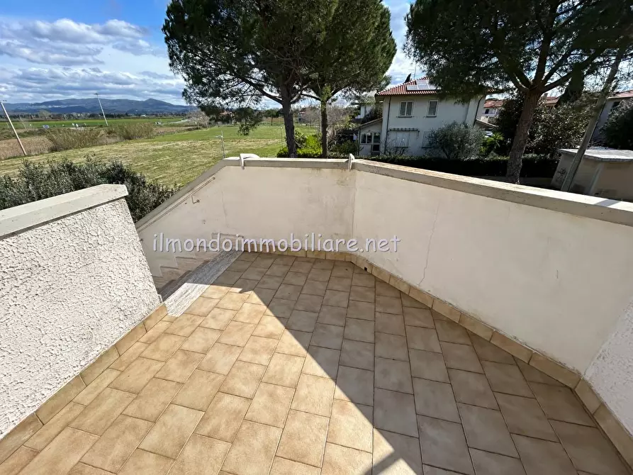 Immagine 5 di Appartamento in vendita  a Rosignano Marittimo