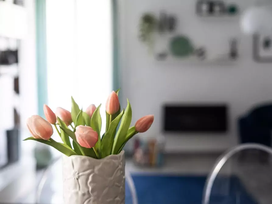 Immagine 38 di Appartamento in vendita  a Carrara