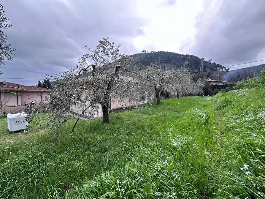 Immagine 19 di Villa in vendita  a San Giuliano Terme