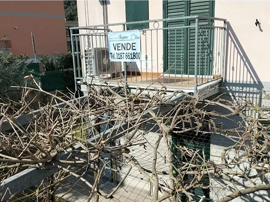 Immagine 39 di Appartamento in vendita  a Ameglia
