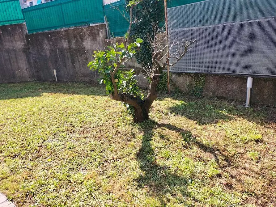 Immagine 22 di Appartamento in vendita  a Ameglia