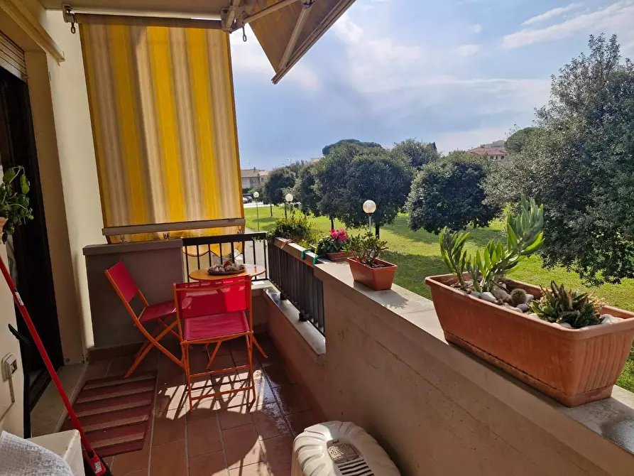 Immagine 5 di Appartamento in vendita  a Campiglia Marittima