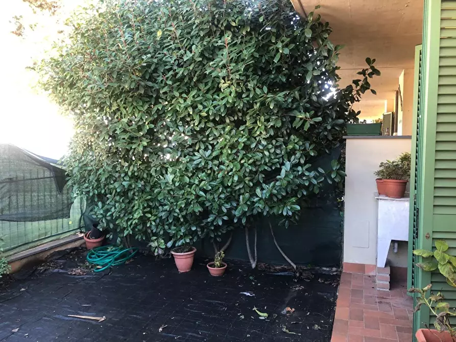 Immagine 6 di Appartamento in vendita  a Lucca