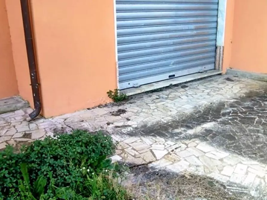 Immagine 18 di Locale commerciale in vendita  a Massa