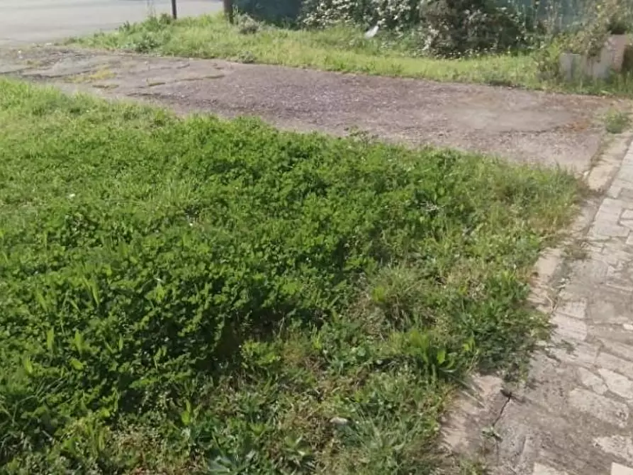 Immagine 22 di Locale commerciale in vendita  a Massa