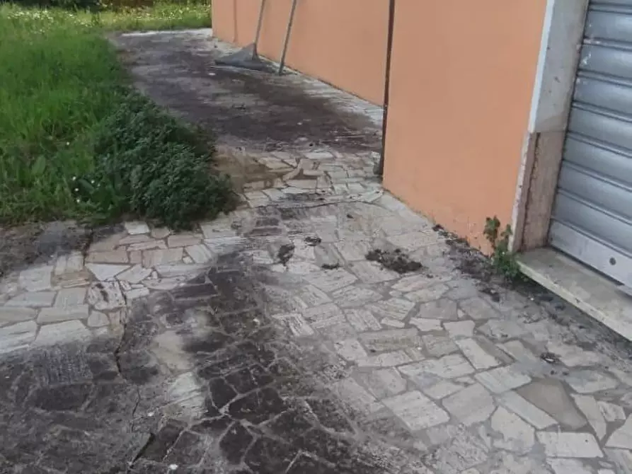 Immagine 19 di Locale commerciale in vendita  a Massa