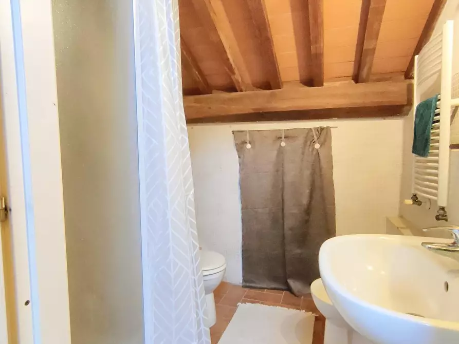 Immagine 31 di Terratetto in vendita  a San Giuliano Terme