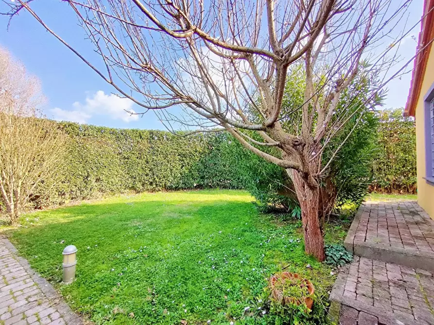 Immagine 5 di Terratetto in vendita  a San Giuliano Terme