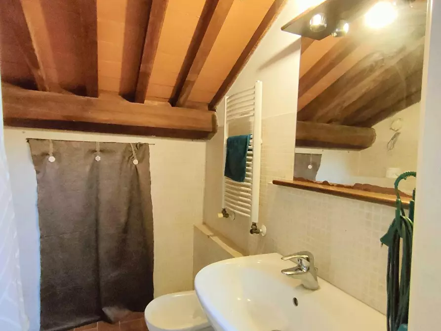 Immagine 35 di Terratetto in vendita  a San Giuliano Terme