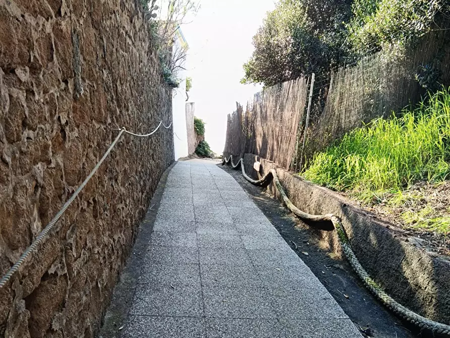 Immagine 19 di Appartamento in vendita  a Rosignano Marittimo