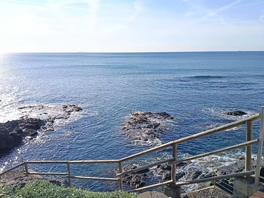 Immagine 23 di Appartamento in vendita  a Rosignano Marittimo